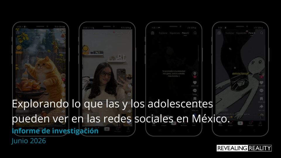 Avatars in Mexico - Final research report - Spanish